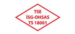 TSE 18001