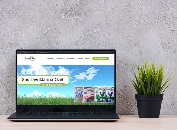 Web Sitemiz Yenilendi !